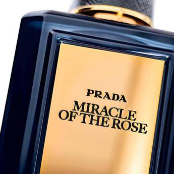 THE FRAGRANCE NOTE フレグランス ノート