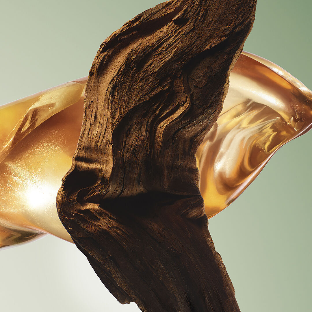 プラダ パラダイム オーデパルファム｜香水｜フレグランス｜プラダ