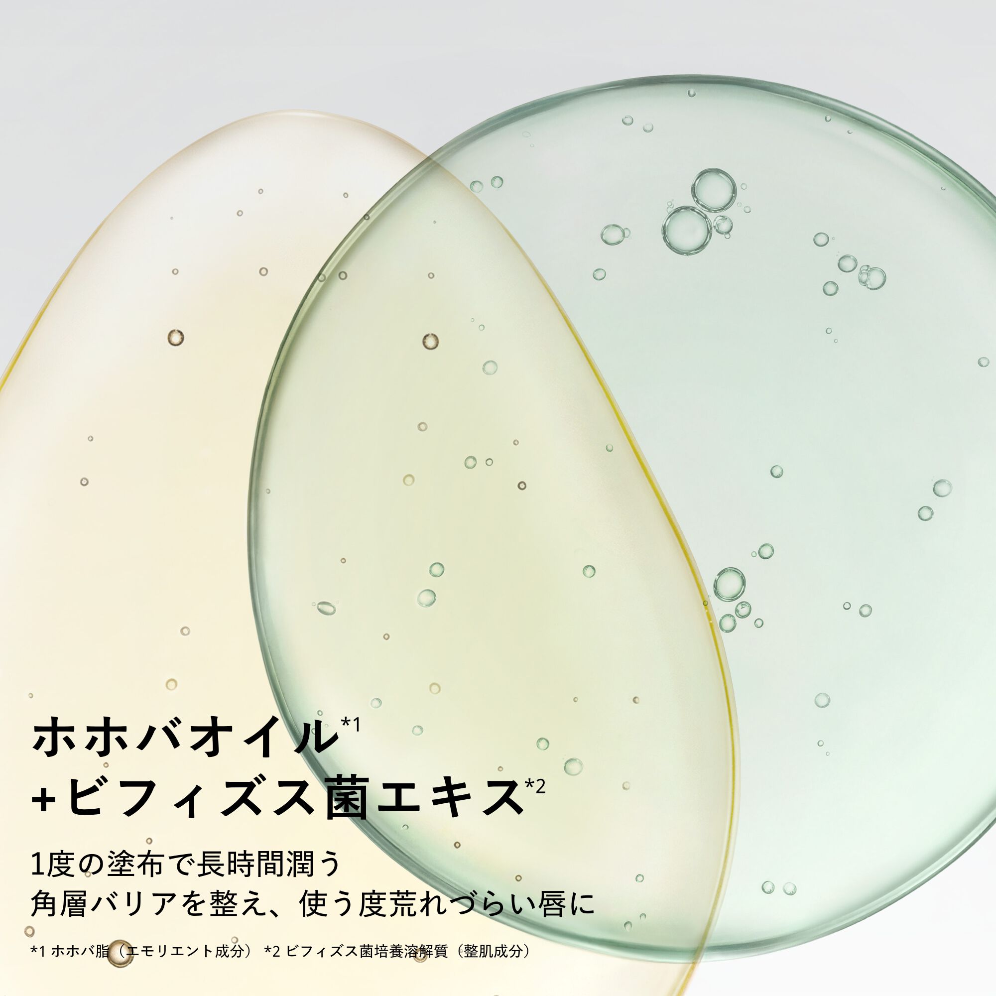 リップ バーム ルミナイジング ケア