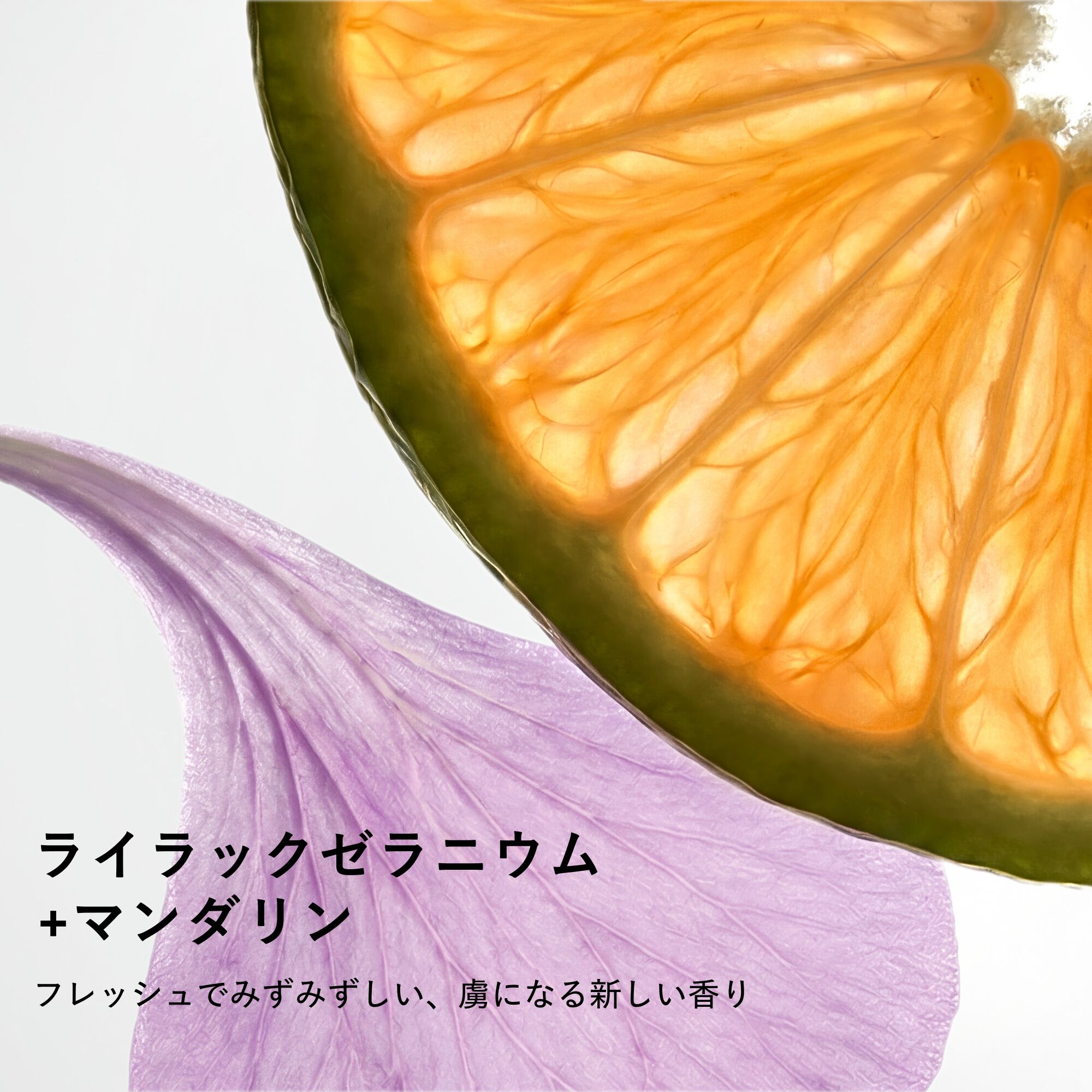 リップ バーム ルミナイジング ケア