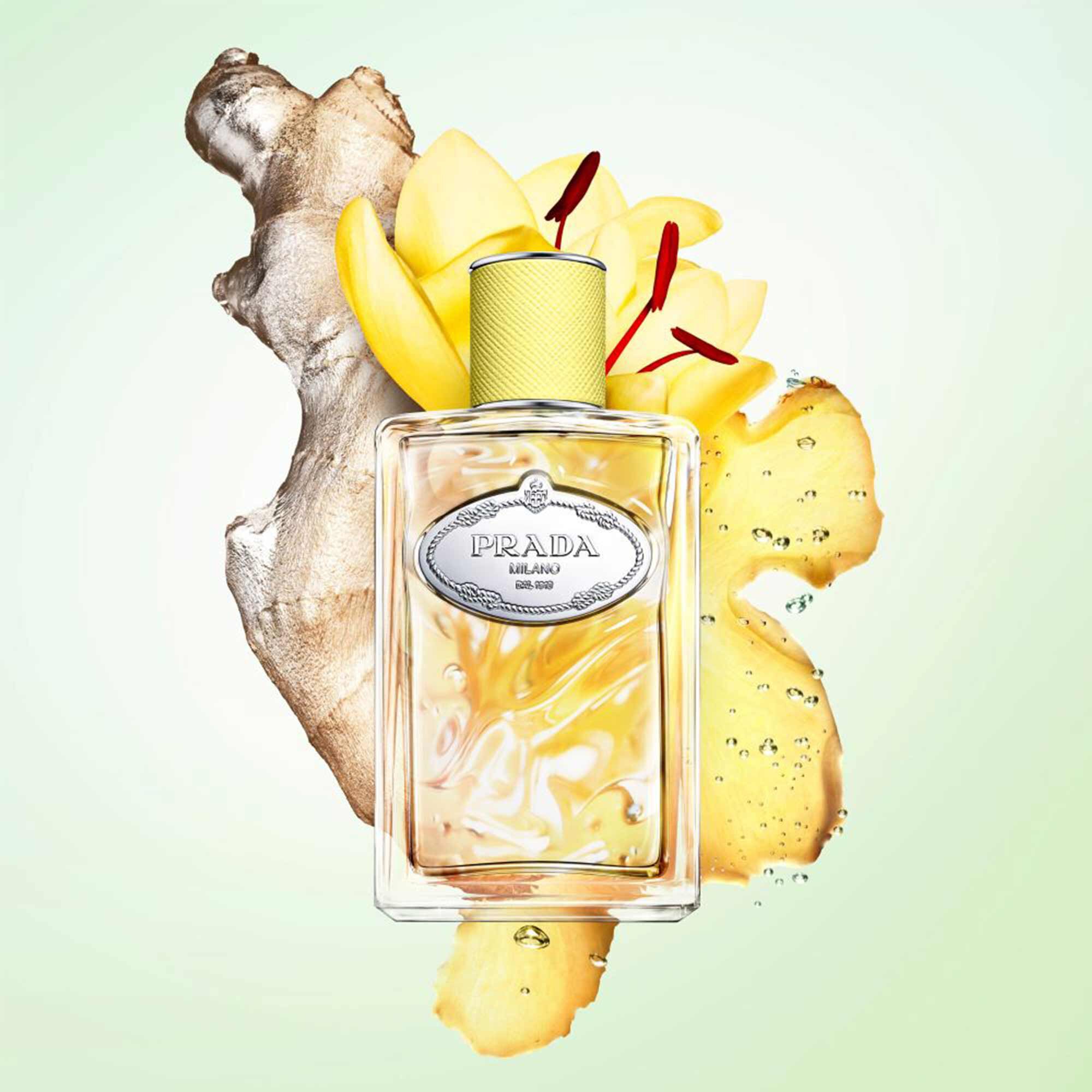 インフュージョン ドゥ プラダ ジャンジャンブル EDP｜プラダ